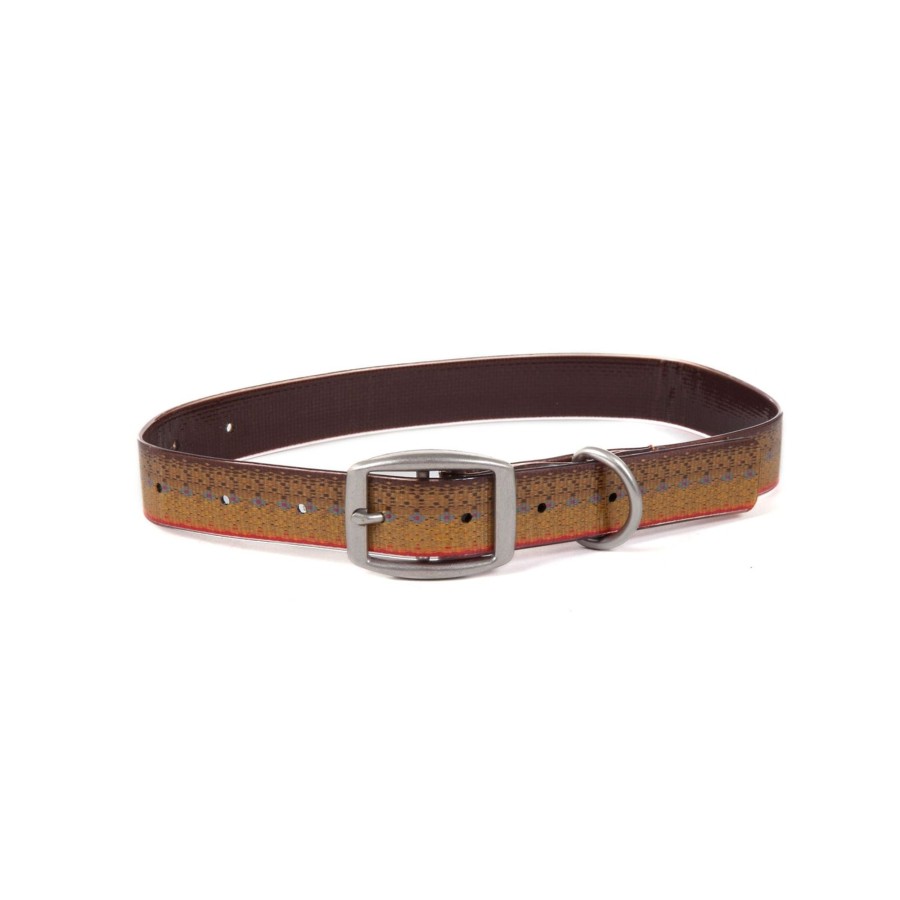 Lifestyle Fishpond | Salty Dog Collar