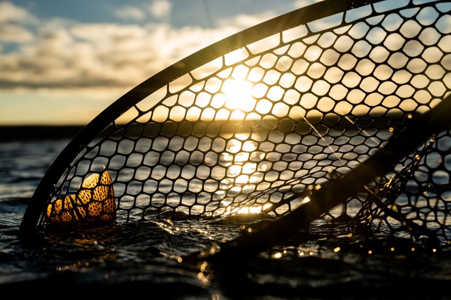 Fishing Fishpond | Nomad Boat Net