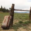 Travel Fishpond | Grand Teton Rolling Luggage